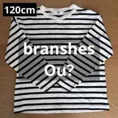 branshes Tシャツ120cm