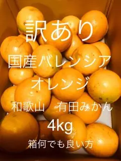 訳あり 国産バレンシアオレンジ 3L前後サイズ 4kg /箱何でも/有田みかんのサムネイル