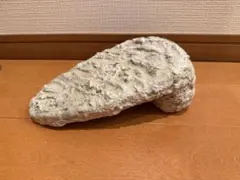 爬虫類 バスキングスポット レイアウト用品のサムネイル