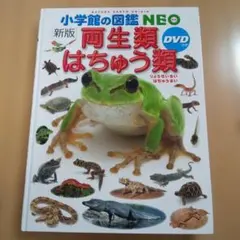 小学館の図鑑NEO 両生類・はちゅう類 新版 DVD付き