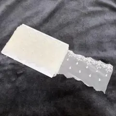 Item thumbnail for item 1ce1dd88-d9a9-4525-9e89-49e7b4f1751e