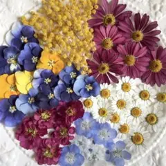 다양한 믹스 컬러풀 ❀ ︎ 드라이 플라워 ❀ ︎ 꽃 소재 NO.734