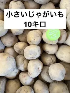 小さいじゃがいも　キタアカリ　10kgのサムネイル