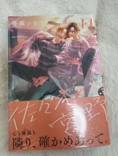 佐々木と宮野　11巻　BL 新品未開封　特典なし