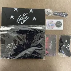 StrayKids 5-STARドームツアー  S-Classシート 特典グッズ