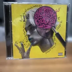 A GREAT FOOL / Novel Core