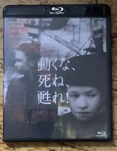 廃盤 洋画