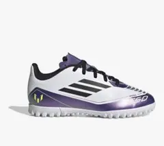 Item thumbnail for item 117abe26-40b3-4396-8cf2-cf03f33166f0