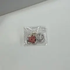 ナガノキャラクターズ ミニアクリルチャーム　ヒトデ