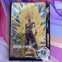 Sdv5-076 孫悟飯少年期