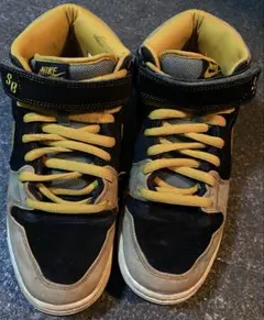 DUNK MID PREMIUM SB ASBURY PARK