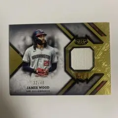 topps JAMES WOOD relic 32/49