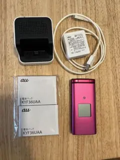 【新品/未使用】Lytro カメラ 8GB 撮影後にピントを合わせ！桃色 新品/未使用】Lytro カメラ 8GB 撮影後にピントを合わせ！桃色 - メルカリ