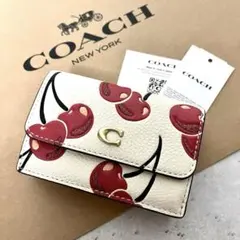 Item thumbnail for item f78bd112-3ec5-4388-ae9b-0347808e6db0