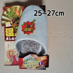 Item thumbnail for item 0932d421-8c01-4eaf-8283-51e8a6d0e23d