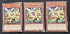2026年最新】ドロール&ロックバード シークレットの人気アイテム