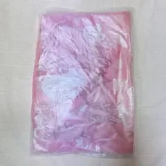 Item thumbnail for item 6f156db9-7fa1-4065-9067-ed29d5d4a96e