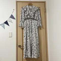 スナイデル、ワンピース