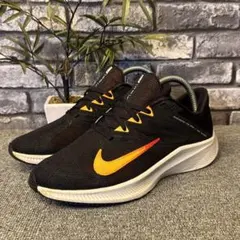 Item thumbnail for item 21cefdef-19ca-42b4-9582-a2efd41c4a4d