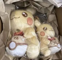 ピカチュウ 30周年記念 ぬいぐるみ、マスコット　2体セット