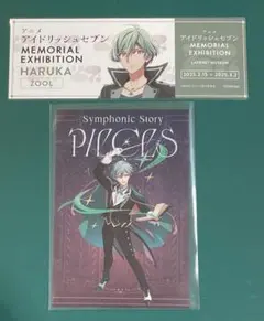 アイナナ SSP 限定グッズ 特典 ポスカ アニナナ展 レプリカチケット 亥清悠