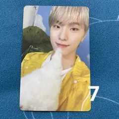 SEVENTEENTH HEAVEN ディノ Carat盤 D トレカ 7