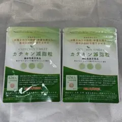 2025年最新】カテキン減脂粒の人気アイテム - メルカリ