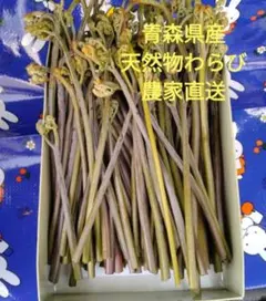 わらび苗(紀伊山地)500本 わらび(紀伊山地)500g メルカリ - 栽培キット