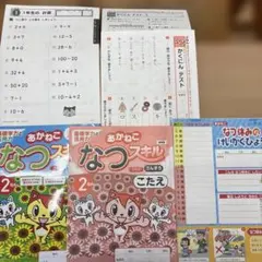 2年 あかねこ なつスキル 夏休み ドリル 算数・国語のサムネイル