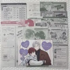 drap 全サ 応募券 応募台紙 ピンナップのサムネイル