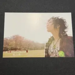 エル様 リクエスト 2点 まとめ商品