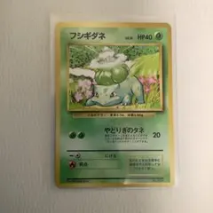 ポケモンカード旧裏　マーク無し　フシギダネ
