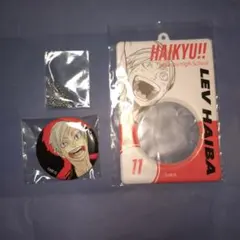 ハイキュー 缶バッチ & 特製ホルダー コレクション 灰羽リエーフ