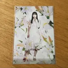 乃木坂46 春夏秋冬/フォーシーズンズ　ポストカード　久保史緒里