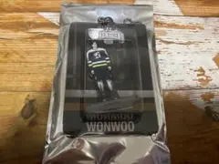 seventeen home アクリルキーリング ウォヌ