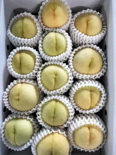 はなさま専用 瀬戸内白桃 良品