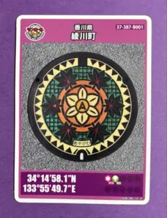 Item thumbnail for item 88c405b9-e62a-4787-b2f1-a52d4a906a58