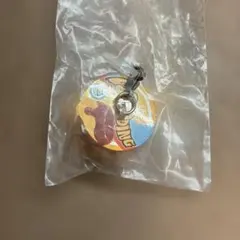 仮面ライダーめじるしアクセサリー ガブ