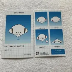 証明写真風スマロイド　サンリオ　こぎみゅん