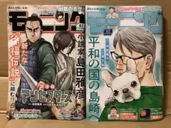 41号 42号 モーニング