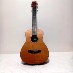 Martin & Co. XC1T ellipse カッタウェイ - メルカリ