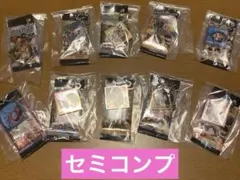 ワンピース 大海賊シールウエハース ミニチュアチャーム 10種類 セミコンプ