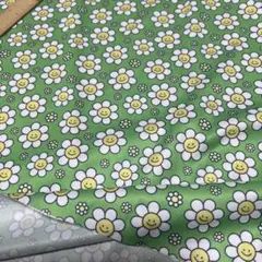 Item thumbnail for item 8a53b202-fa14-4f21-9f35-bfb71ae38729