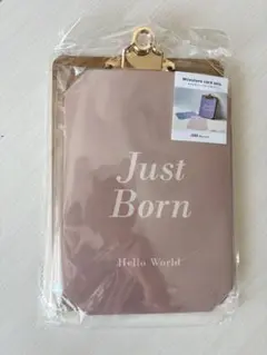 Just Born マイルストーンカードセット　スリーコインズ