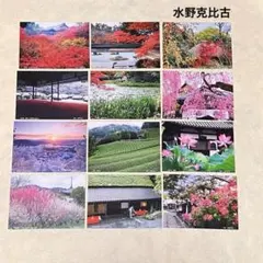 巴林様 リクエスト 5点 まとめ商品