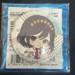 2026年最新】東雲絵名セカライの人気アイテム - メルカリ