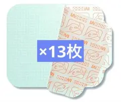 Item thumbnail for item ca178192-5583-4618-9556-6130ca3eadd1