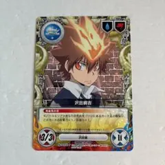 家庭教師ヒットマンREBORN CCG 沢田綱吉 XグローブVer.V.R - メルカリ