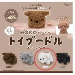てのひらサイズのトイプードル ガチャ