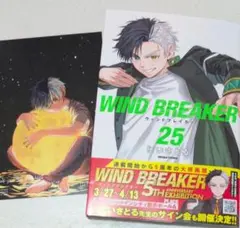 ウィンドブレーカー　25 カード　イラスト　特典